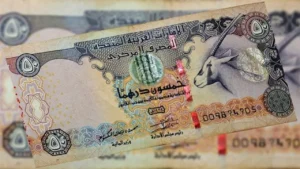 سعر الدرهم الإماراتي يثبت أمام الجنيه المصري في ختام تعاملات البنوك الثلاثاء